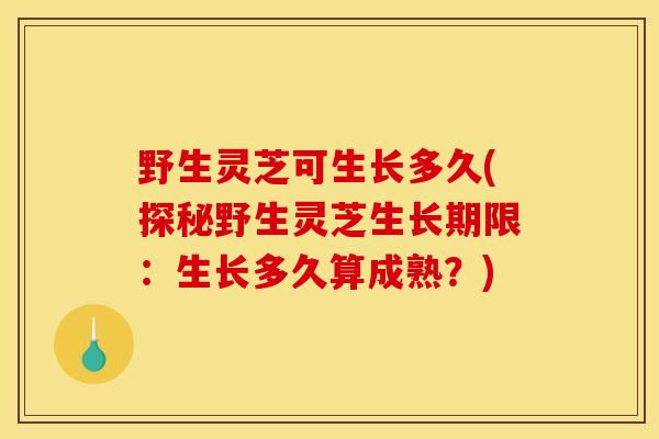 野生灵芝可生长多久(探秘野生灵芝生长期限:生长多久算成熟?)-第1张图片-灵芝之家 野生灵芝可生长多久(探秘野生灵芝生长期限:生长多久算成熟?)-第1张图片-灵芝之家
