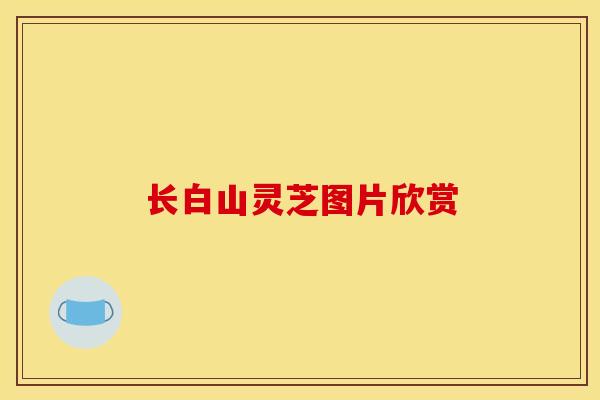 长白山灵芝图片欣赏-第1张图片-灵芝之家 长白山灵芝图片欣赏-第1张图片-灵芝之家