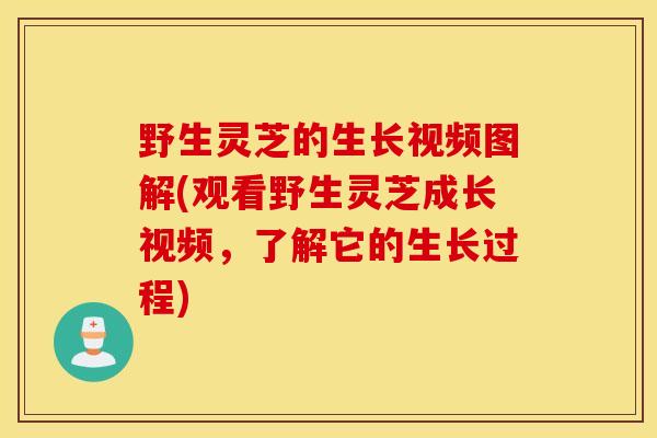 野生灵芝的生长视频图解(观看野生灵芝成长视频,了解它的生长过程)-第1张图片-灵芝之家 野生灵芝的生长视频图解(观看野生灵芝成长视频,了解它的生长过程)-第1张图片-灵芝之家