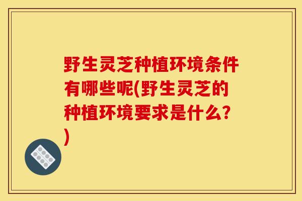 野生灵芝种植环境条件有哪些呢(野生灵芝的种植环境要求是什么?)-第1张图片-灵芝之家 野生灵芝种植环境条件有哪些呢(野生灵芝的种植环境要求是什么?)-第1张图片-灵芝之家