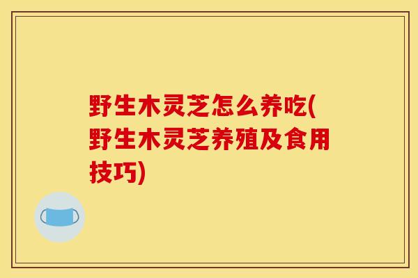 野生木灵芝怎么养吃(野生木灵芝养殖及食用技巧)-第1张图片-灵芝之家 野生木灵芝怎么养吃(野生木灵芝养殖及食用技巧)-第1张图片-灵芝之家