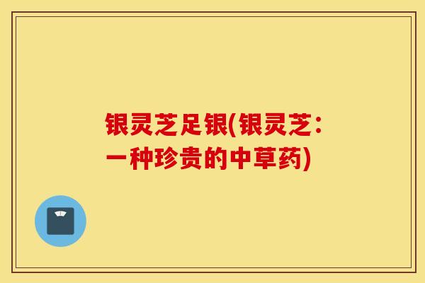 银灵芝足银(银灵芝：一种珍贵的中草药)-第1张图片-灵芝之家