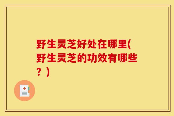 野生灵芝好处在哪里(野生灵芝的功效有哪些？)-第1张图片-灵芝之家