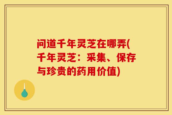 问道千年灵芝在哪弄(千年灵芝：采集、保存与珍贵的药用价值)-第1张图片-灵芝之家