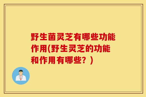 野生菌灵芝有哪些功能作用(野生灵芝的功能和作用有哪些?)-第1张图片-灵芝之家 野生菌灵芝有哪些功能作用(野生灵芝的功能和作用有哪些?)-第1张图片-灵芝之家