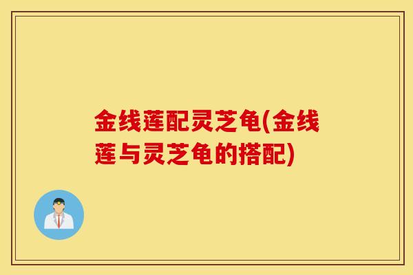 金线莲配灵芝龟(金线莲与灵芝龟的搭配)-第1张图片-灵芝之家 金线莲配灵芝龟(金线莲与灵芝龟的搭配)-第1张图片-灵芝之家