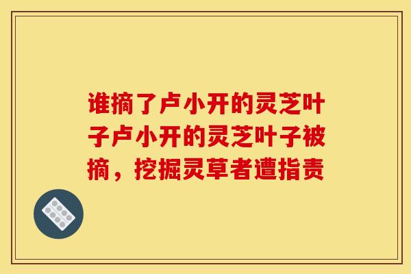 谁摘了卢小开的灵芝叶子卢小开的灵芝叶子被摘,挖掘灵草者遭指责-第1张图片-灵芝之家 谁摘了卢小开的灵芝叶子卢小开的灵芝叶子被摘,挖掘灵草者遭指责-第1张图片-灵芝之家