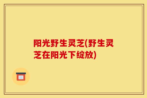 阳光野生灵芝(野生灵芝在阳光下绽放)-第1张图片-灵芝之家 阳光野生灵芝(野生灵芝在阳光下绽放)-第1张图片-灵芝之家