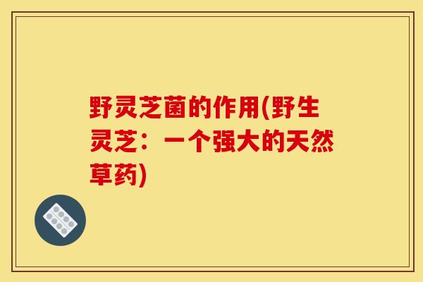 野灵芝菌的作用(野生灵芝：一个强大的天然草药)-第1张图片-灵芝之家