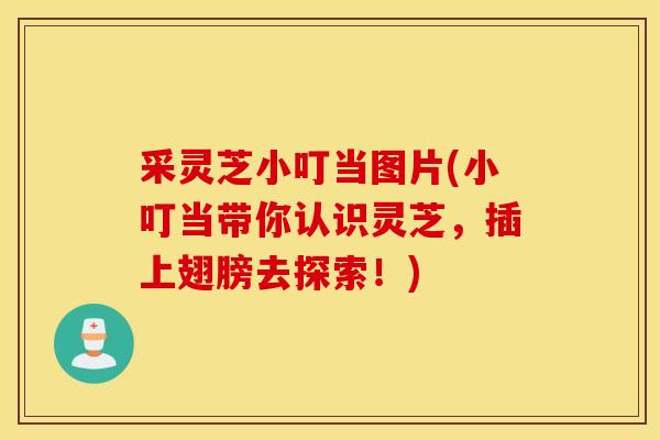 采灵芝小叮当图片(小叮当带你认识灵芝，插上翅膀去探索！)-第1张图片-灵芝之家