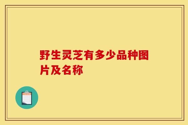 野生灵芝有多少品种图片及名称-第1张图片-灵芝之家 野生灵芝有多少品种图片及名称-第1张图片-灵芝之家