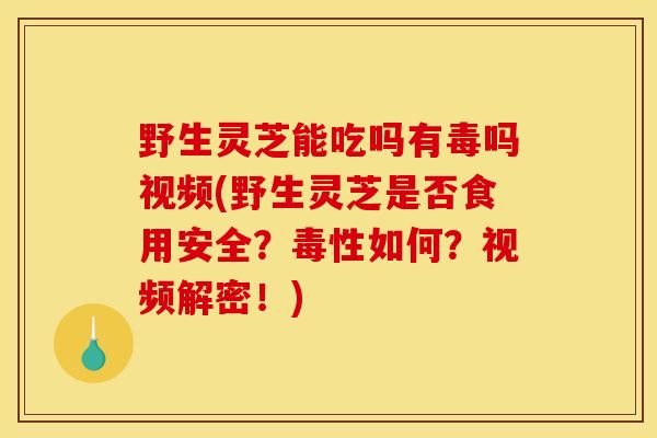 野生灵芝能吃吗有毒吗视频(野生灵芝是否食用安全?毒性如何?视频解密!)-第1张图片-灵芝之家 野生灵芝能吃吗有毒吗视频(野生灵芝是否食用安全?毒性如何?视频解密!)-第1张图片-灵芝之家