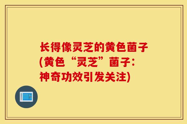 长得像灵芝的黄色菌子(黄色“灵芝”菌子:神奇功效引发关注)-第1张图片-灵芝之家 长得像灵芝的黄色菌子(黄色“灵芝”菌子:神奇功效引发关注)-第1张图片-灵芝之家