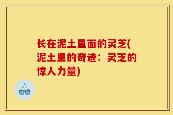 长在泥土里面的灵芝(泥土里的奇迹:灵芝的惊人力量)-第1张图片-灵芝之家 长在泥土里面的灵芝(泥土里的奇迹:灵芝的惊人力量)-第1张图片-灵芝之家