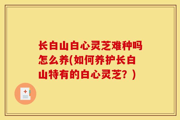 长白山白心灵芝难种吗怎么养(如何养护长白山特有的白心灵芝?)-第1张图片-灵芝之家 长白山白心灵芝难种吗怎么养(如何养护长白山特有的白心灵芝?)-第1张图片-灵芝之家
