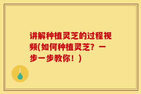 讲解种植灵芝的过程视频(如何种植灵芝？一步一步教你！)-第1张图片-灵芝之家