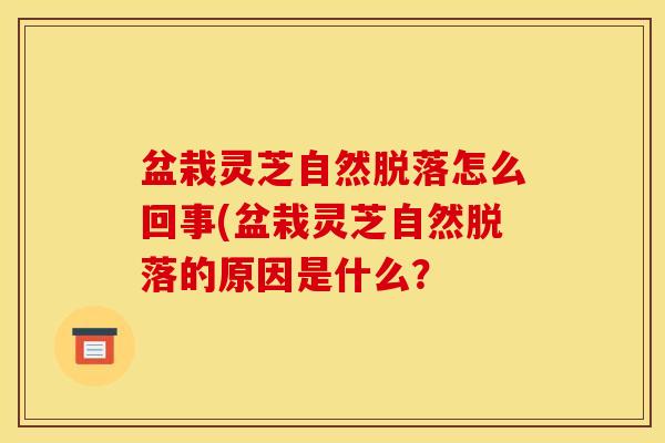 盆栽灵芝自然脱落怎么回事(盆栽灵芝自然脱落的原因是什么?-第1张图片-灵芝之家 盆栽灵芝自然脱落怎么回事(盆栽灵芝自然脱落的原因是什么?-第1张图片-灵芝之家