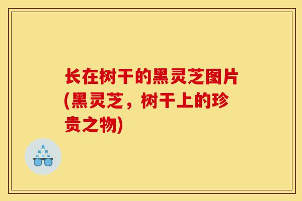长在树干的黑灵芝图片(黑灵芝，树干上的珍贵之物)-第1张图片-灵芝之家