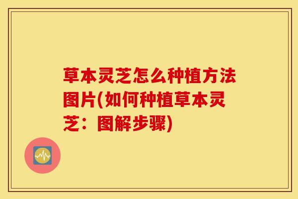 草本灵芝怎么种植方法图片(如何种植草本灵芝:图解步骤)-第1张图片-灵芝之家 草本灵芝怎么种植方法图片(如何种植草本灵芝:图解步骤)-第1张图片-灵芝之家