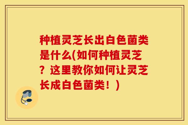 种植灵芝长出白色菌类是什么(如何种植灵芝?这里教你如何让灵芝长成白色菌类!)-第1张图片-灵芝之家 种植灵芝长出白色菌类是什么(如何种植灵芝?这里教你如何让灵芝长成白色菌类!)-第1张图片-灵芝之家