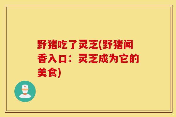 野猪吃了灵芝(野猪闻香入口:灵芝成为它的美食)-第1张图片-灵芝之家 野猪吃了灵芝(野猪闻香入口:灵芝成为它的美食)-第1张图片-灵芝之家