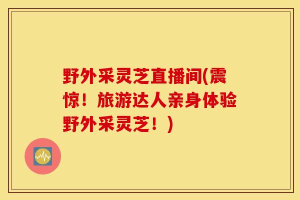 野外采灵芝直播间(震惊!旅游达人亲身体验野外采灵芝!)-第1张图片-灵芝之家 野外采灵芝直播间(震惊!旅游达人亲身体验野外采灵芝!)-第1张图片-灵芝之家
