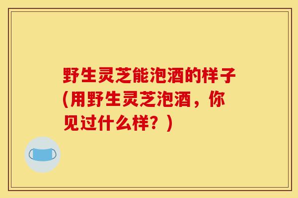野生灵芝能泡酒的样子(用野生灵芝泡酒,你见过什么样?)-第1张图片-灵芝之家 野生灵芝能泡酒的样子(用野生灵芝泡酒,你见过什么样?)-第1张图片-灵芝之家