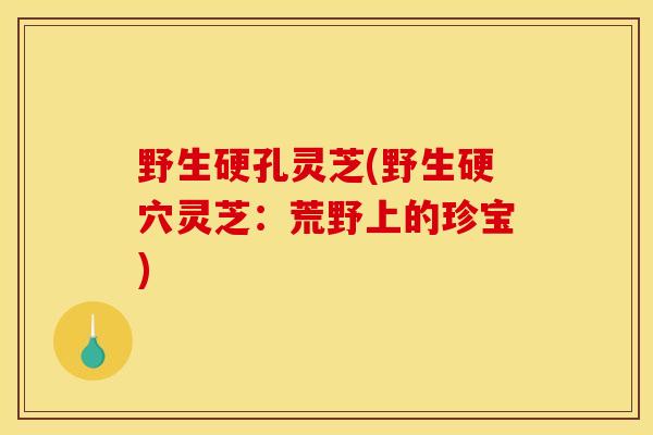 野生硬孔灵芝(野生硬穴灵芝:荒野上的珍宝)-第1张图片-灵芝之家 野生硬孔灵芝(野生硬穴灵芝:荒野上的珍宝)-第1张图片-灵芝之家
