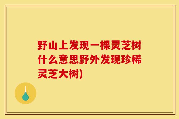 野山上发现一棵灵芝树什么意思野外发现珍稀灵芝大树)-第1张图片-灵芝之家 野山上发现一棵灵芝树什么意思野外发现珍稀灵芝大树)-第1张图片-灵芝之家