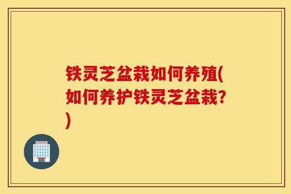 铁灵芝盆栽如何养殖(如何养护铁灵芝盆栽?)-第1张图片-灵芝之家 铁灵芝盆栽如何养殖(如何养护铁灵芝盆栽?)-第1张图片-灵芝之家