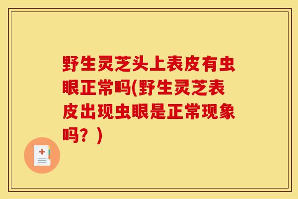 野生灵芝头上表皮有虫眼正常吗(野生灵芝表皮出现虫眼是正常现象吗?)-第1张图片-灵芝之家 野生灵芝头上表皮有虫眼正常吗(野生灵芝表皮出现虫眼是正常现象吗?)-第1张图片-灵芝之家