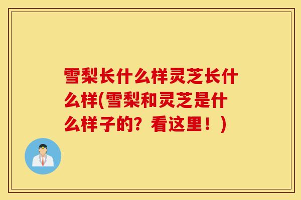 雪梨长什么样灵芝长什么样(雪梨和灵芝是什么样子的？看这里！)-第1张图片-灵芝之家