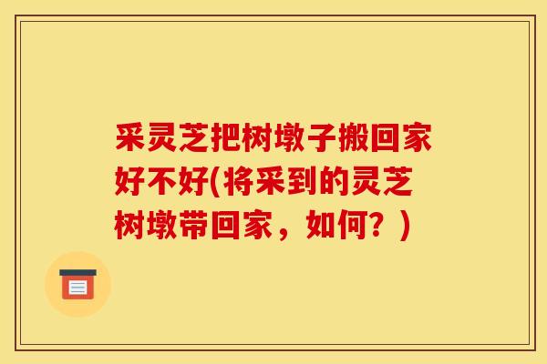 采灵芝把树墩子搬回家好不好(将采到的灵芝树墩带回家,如何?)-第1张图片-灵芝之家 采灵芝把树墩子搬回家好不好(将采到的灵芝树墩带回家,如何?)-第1张图片-灵芝之家