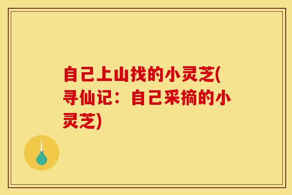 自己上山找的小灵芝(寻仙记：自己采摘的小灵芝)-第1张图片-灵芝之家