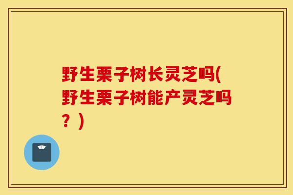 野生栗子树长灵芝吗(野生栗子树能产灵芝吗?)-第1张图片-灵芝之家 野生栗子树长灵芝吗(野生栗子树能产灵芝吗?)-第1张图片-灵芝之家