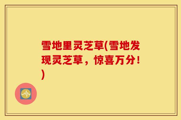 雪地里灵芝草(雪地发现灵芝草,惊喜万分!)-第1张图片-灵芝之家 雪地里灵芝草(雪地发现灵芝草,惊喜万分!)-第1张图片-灵芝之家