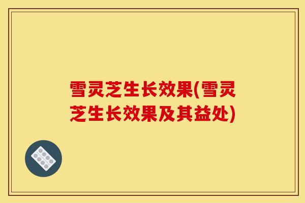 雪灵芝生长效果(雪灵芝生长效果及其益处)-第1张图片-灵芝之家 雪灵芝生长效果(雪灵芝生长效果及其益处)-第1张图片-灵芝之家