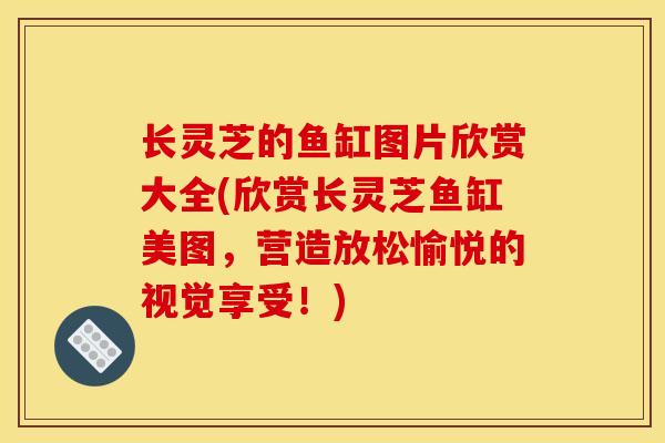 长灵芝的鱼缸图片欣赏大全(欣赏长灵芝鱼缸美图,营造放松愉悦的视觉享受!)-第1张图片-灵芝之家 长灵芝的鱼缸图片欣赏大全(欣赏长灵芝鱼缸美图,营造放松愉悦的视觉享受!)-第1张图片-灵芝之家