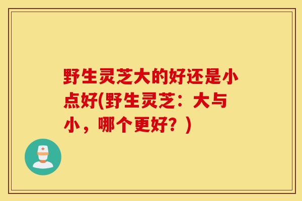 野生灵芝大的好还是小点好(野生灵芝：大与小，哪个更好？)-第1张图片-灵芝之家
