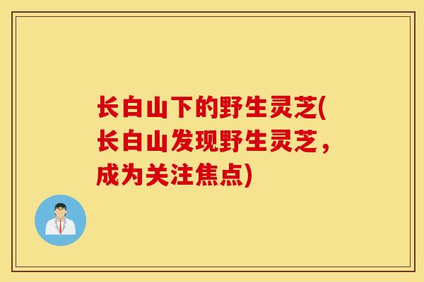 长白山下的野生灵芝(长白山发现野生灵芝，成为关注焦点)-第1张图片-灵芝之家