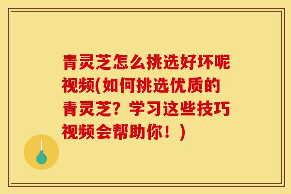 青灵芝怎么挑选好坏呢视频(如何挑选优质的青灵芝?学习这些技巧视频会帮助你!)-第1张图片-灵芝之家 青灵芝怎么挑选好坏呢视频(如何挑选优质的青灵芝?学习这些技巧视频会帮助你!)-第1张图片-灵芝之家