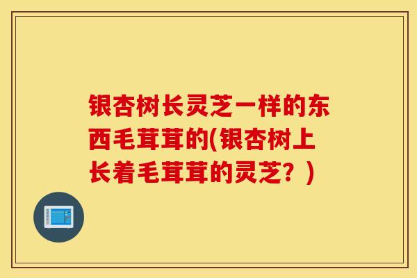 银杏树长灵芝一样的东西毛茸茸的(银杏树上长着毛茸茸的灵芝?)-第1张图片-灵芝之家 银杏树长灵芝一样的东西毛茸茸的(银杏树上长着毛茸茸的灵芝?)-第1张图片-灵芝之家