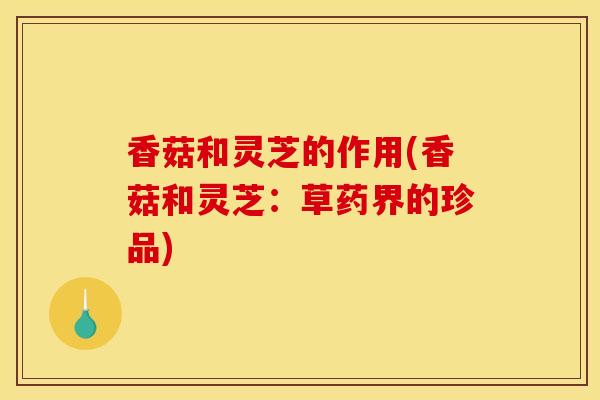 香菇和灵芝的作用(香菇和灵芝:草药界的珍品)-第1张图片-灵芝之家 香菇和灵芝的作用(香菇和灵芝:草药界的珍品)-第1张图片-灵芝之家