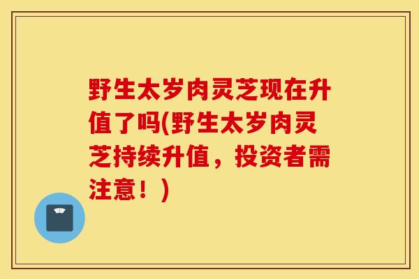 野生太岁肉灵芝现在升值了吗(野生太岁肉灵芝持续升值，投资者需注意！)-第1张图片-灵芝之家