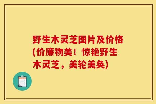 野生木灵芝图片及价格(价廉物美!惊艳野生木灵芝,美轮美奂)-第1张图片-灵芝之家 野生木灵芝图片及价格(价廉物美!惊艳野生木灵芝,美轮美奂)-第1张图片-灵芝之家