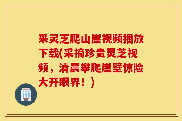 采灵芝爬山崖视频播放下载(采摘珍贵灵芝视频，清晨攀爬崖壁惊险大开眼界！)-第1张图片-灵芝之家