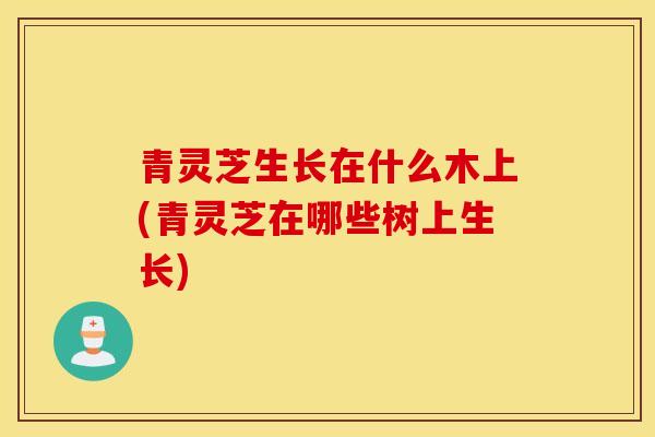 青灵芝生长在什么木上(青灵芝在哪些树上生长)-第1张图片-灵芝之家 青灵芝生长在什么木上(青灵芝在哪些树上生长)-第1张图片-灵芝之家