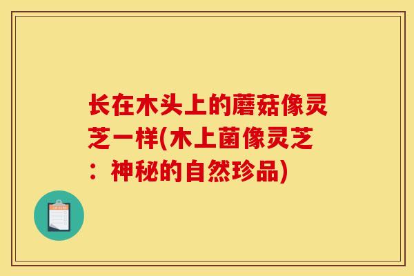 长在木头上的蘑菇像灵芝一样(木上菌像灵芝：神秘的自然珍品)-第1张图片-灵芝之家