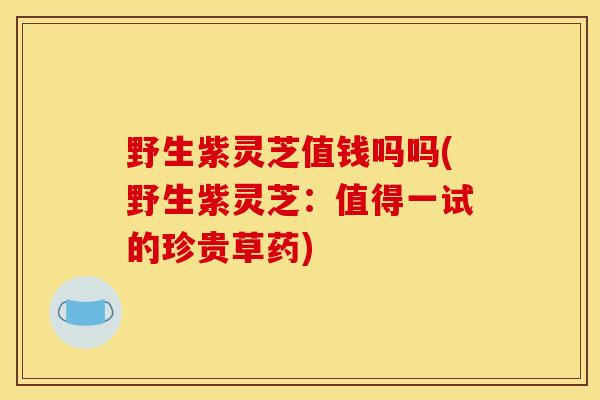 野生紫灵芝值钱吗吗(野生紫灵芝:值得一试的珍贵草药)-第1张图片-灵芝之家 野生紫灵芝值钱吗吗(野生紫灵芝:值得一试的珍贵草药)-第1张图片-灵芝之家