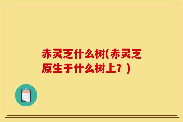 赤灵芝什么树(赤灵芝原生于什么树上?)-第1张图片-灵芝之家 赤灵芝什么树(赤灵芝原生于什么树上?)-第1张图片-灵芝之家